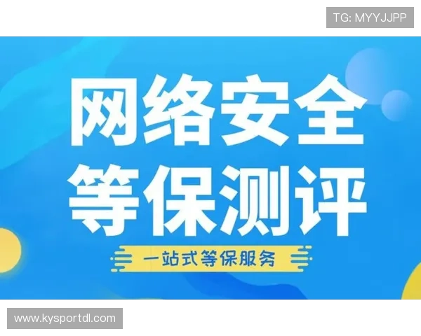 开运网站登录安全指南，保障个人信息安全同时享受顺畅登录体验